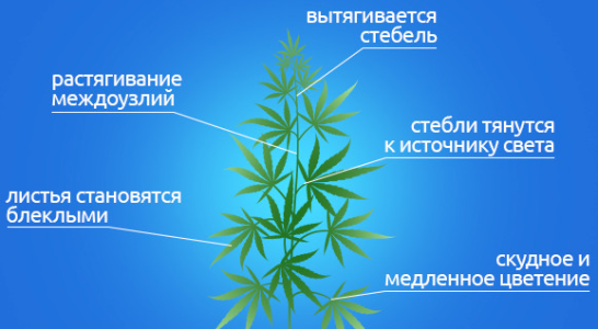 1726597747565.png 1726597747565.png