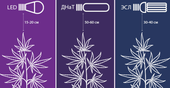 1726597826288.png 1726597826288.png