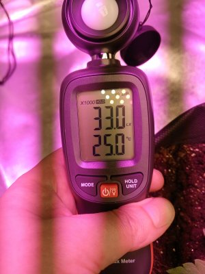 Блядский Свет.jpg