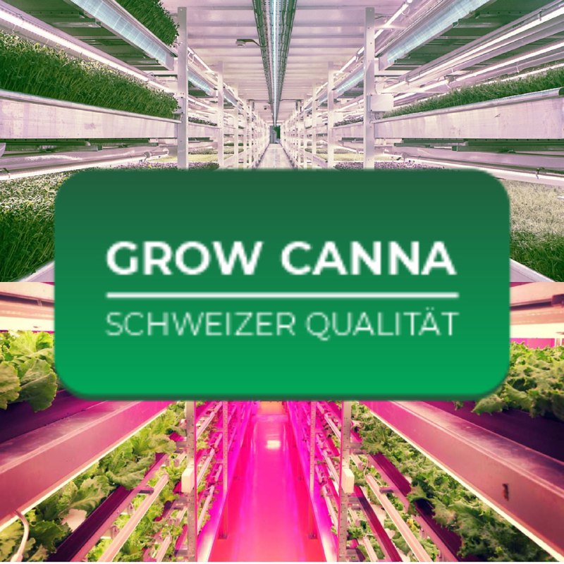 growcanna.ru